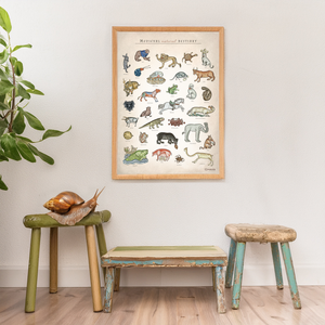 Poster Medieval Natural Bestiary